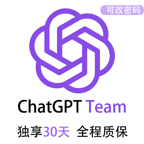 ChatGPT团队版Team独享账号 | 最新上线全网首发 | 全程质保